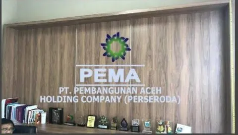 Almer Hafis benarkan dirinya ditunjuk sebagai Plt Direktur PT PEMA