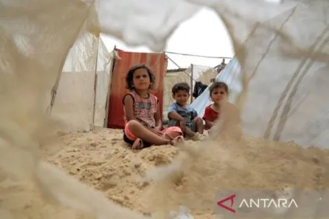 200 warga Palestina terbunuh dalam serangan Israel di Kamp Rafah, sebagian besar perempuan dan anak