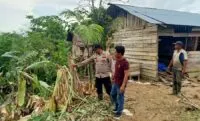 Puluhan gajah liar rusak rumah dan kebun warga di Aceh Timur
