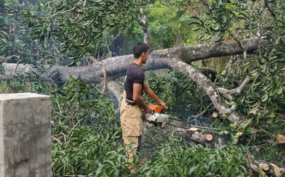 Satu rumah warga Aceh Besar rusak parah tertimpa pohon