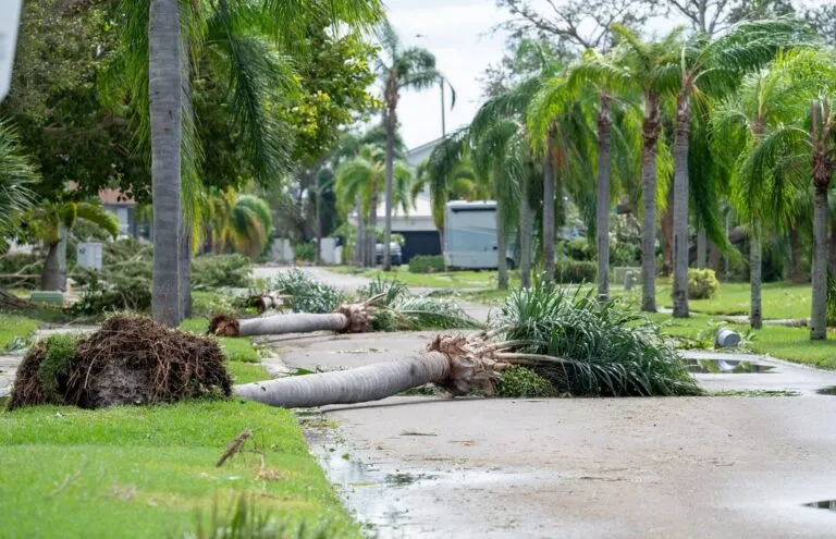 Badai Milton terjang Florida Amerika Serikat, 17 warga tewas