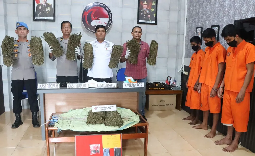 Bawa 10 kilogram ganja, tiga warga Lhokseumawe ditangkap di Langsa