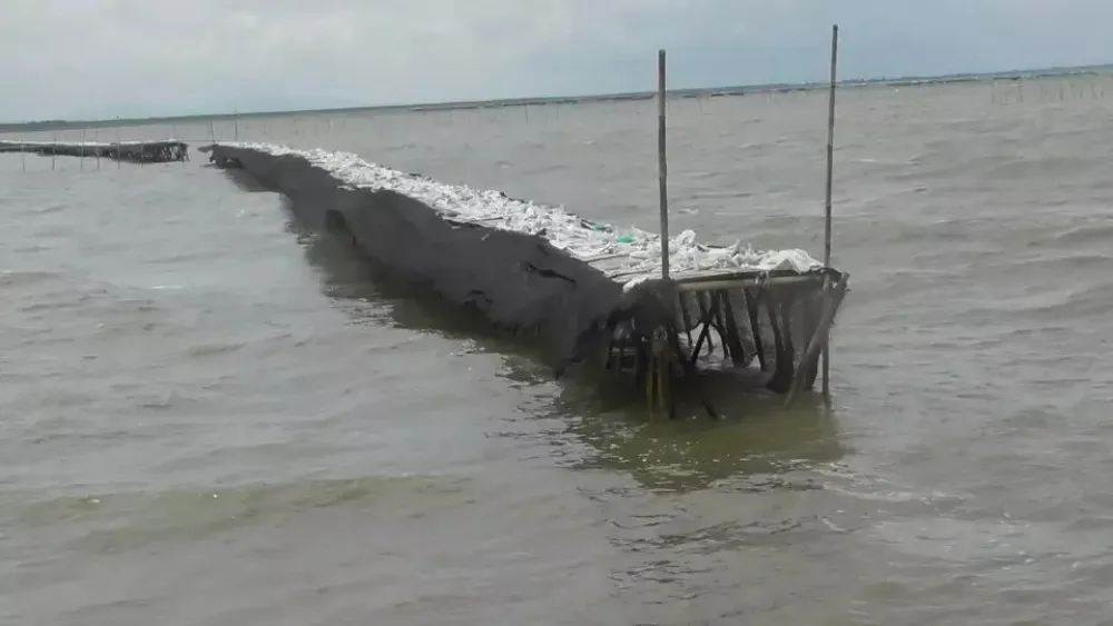 TNI AL dan warga bongkar pagar laut misterius di Tangerang Banten