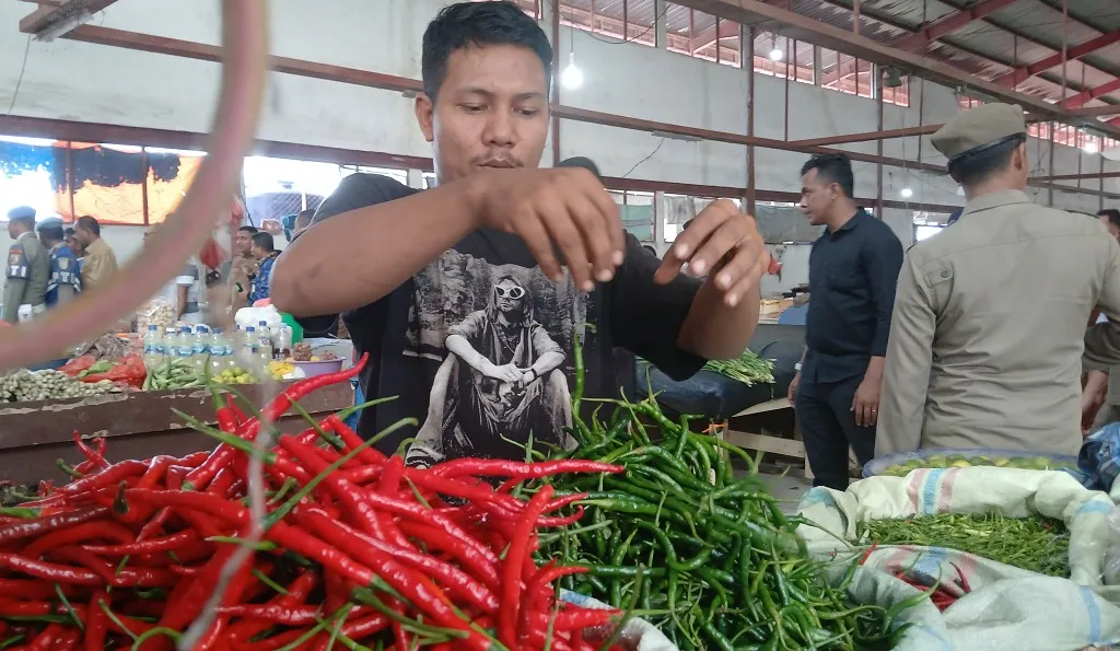 Di Banda Aceh, harga cabai merah turun, di proyeksi naik jelang ramadhan