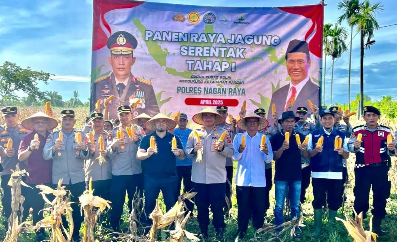 Dukung program ketahanan pangan nasional, Kapolres Nagan Raya panen raya jagung