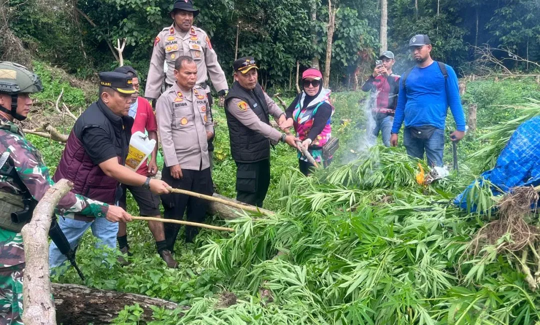 Polres Aceh Besar musnahkan satu hektar ladang ganja di Lamteuba