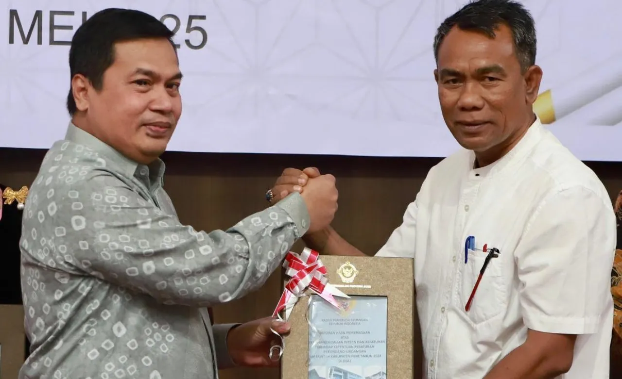 Pemkab Pidie raih penghargaan WTP ke-10