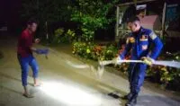 Ular piton sepanjang tiga meter mangsa ternak warga di Aceh Besar, ditangkap petugas Damkar