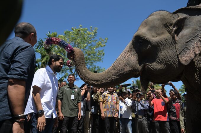 Mualem dan Dubes Inggris bertemu di Aceh Tengah, tinjau lokasi konservasi gajah