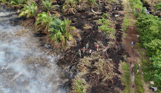 Ratusan hektar kebun sawit di Bakongan Aceh Selatan terbakar