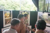 Kadisbudpar Aceh buka Pameran temporer bertema dari reruntuhan tumbuh harapan