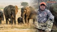 Jutawan AS Tewas Diinjak Gajah saat Berburu di Gabon