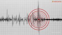 Gempa Tohoku M7,5: 171.957 Warga Dievakuasi, Shinkansen