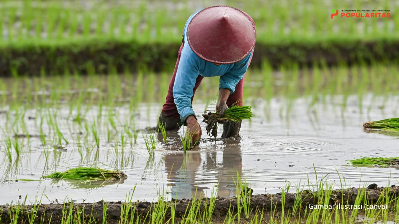 Program Makan Bergizi Gratis Dongkrak Pendapatan Petani