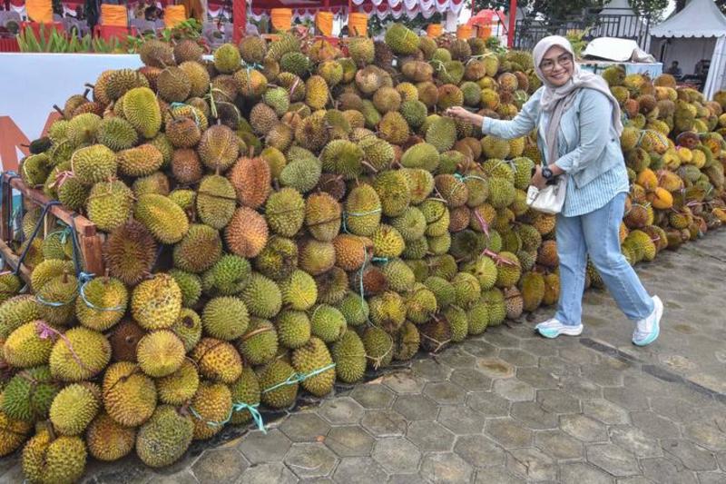 Durian Indonesia diminati warga China, ekspor capai 4,07 ribu ton