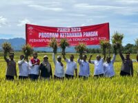 Perhimpunan INTI panen raya padi di Aceh Besar
