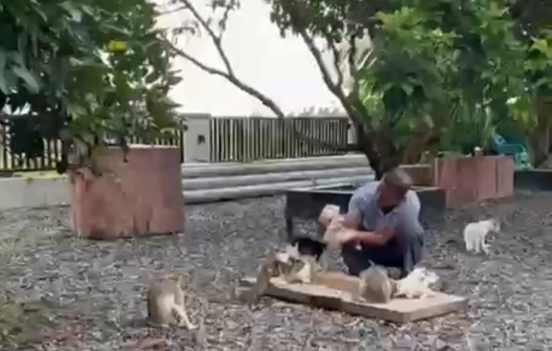 Sisi lain Abang Samalanga : Antara politisi dan pecinta kucing